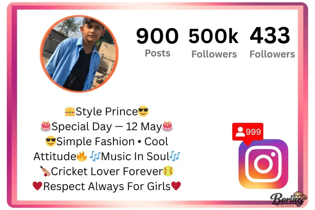 Attitude Instagram Bio for Boys